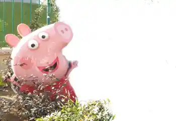 Photo Effect fra kategori Forskellige rammer til fotos med børn № 101439