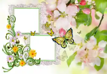 Indskriften på rammen: Tillykke!