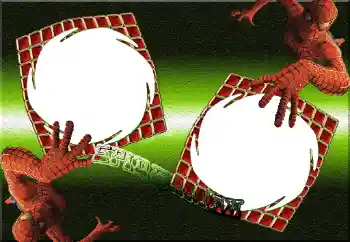 Indskriften på rammen: Spiderman