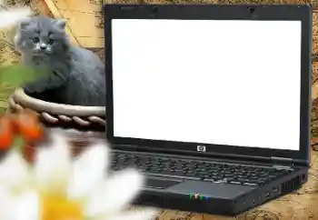 Photo Effect fra kategori Forskellige rammer til fotos med børn № 157214