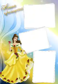 Indskriften på rammen: Princess