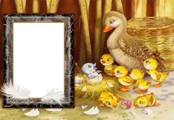 Photo Effect fra kategori Landsbyen og sommerhus № 166682