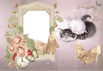 Photo Effect fra kategori Badning, spise, sove № 153184 Photo Effect fra kategori Badning, spise, sove № 153184