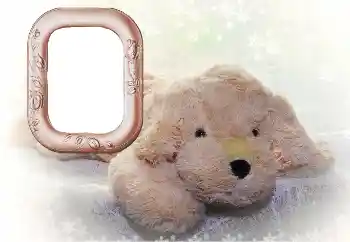 Photo Effect fra kategori Mit legetøj og kæledyr № 169102