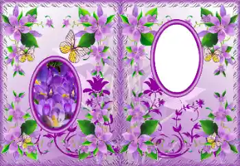 Photo Effect fra kategori Etiketter til DVD № 183322