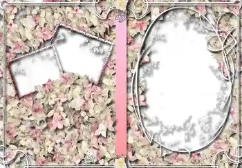 Photo Effect fra kategori Etiketter til DVD № 4459. Indskriften på rammen: Hjem Arkiv
