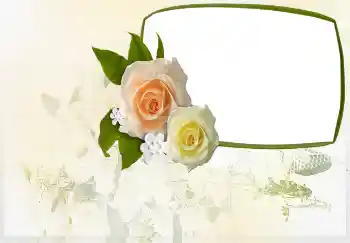 Indskriften på rammen: Invitation til ...