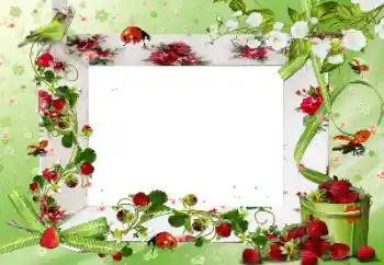 Photo Effect fra kategori Forskellige № 172917