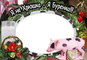 Photo Effect fra kategori Forskellige № 40370. Indskriften på rammen: Я не Хрюшка - Я Буренка!!!