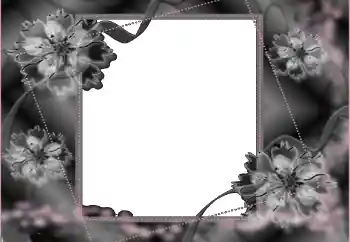 Photo Effect fra kategori Begravelse bånd № 114453