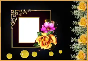 Indskriften på rammen: Husk, kærlighed, sorger!