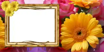 Photo Effect fra kategori Postkort til 8 marts № 42675