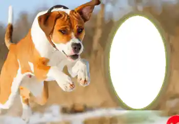 Photo Effect fra kategori Postkort til nytår № 68755. Indskriften på rammen: Godt Nytår! Photo Effect fra kategori Postkort til nytår № 68755. Indskriften på rammen: Godt Nytår!