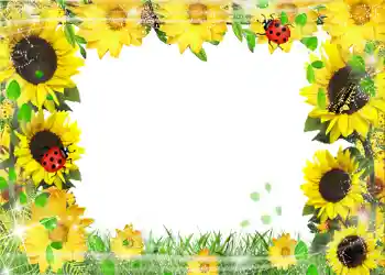 Photo Effect fra kategori Sommer № 1113