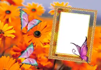 Photo Effect fra kategori Sommer № 112111