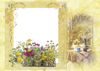 Photo Effect fra kategori Sommer № 1121
