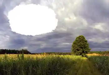Photo Effect fra kategori Sommer № 114385