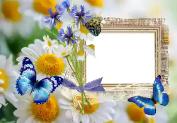 Photo Effect fra kategori Sommer № 114393