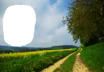 Photo Effect fra kategori Sommer № 114551