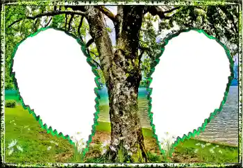 Photo Effect fra kategori Sommer № 123182 Photo Effect fra kategori Sommer № 123182