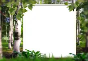 Photo Effect fra kategori Sommer № 128567