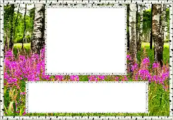 Photo Effect fra kategori Sommer № 131011