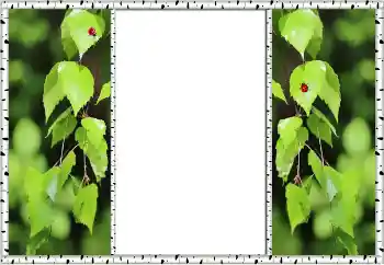 Photo Effect fra kategori Sommer № 132875