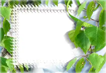 Photo Effect fra kategori Sommer № 132911