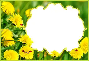 Photo Effect fra kategori Sommer № 132994