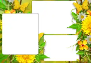 Photo Effect fra kategori Sommer № 138523