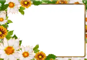 Photo Effect fra kategori Sommer № 138646