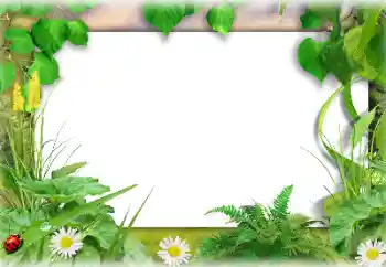 Photo Effect fra kategori Sommer № 138647