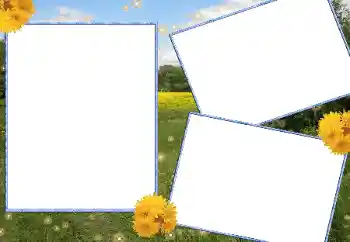Photo Effect fra kategori Sommer № 13915