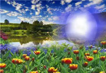 Photo Effect fra kategori Sommer № 13960