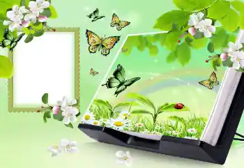 Photo Effect fra kategori Sommer № 150647
