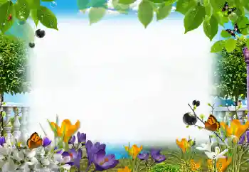 Photo Effect fra kategori Sommer № 153205
