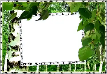 Photo Effect fra kategori Sommer № 154334