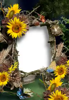 Photo Effect fra kategori Sommer № 167902