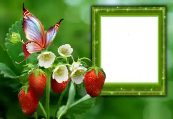 Photo Effect fra kategori Sommer № 168002