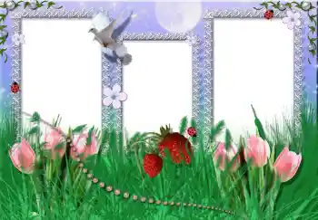 Photo Effect fra kategori Sommer № 2396 Photo Effect fra kategori Sommer № 2396