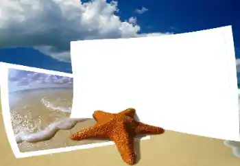 Photo Effect fra kategori Sommer № 25435