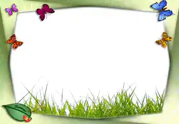 Photo Effect fra kategori Sommer № 2756