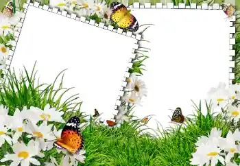 Photo Effect fra kategori Sommer № 31861