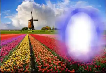 Photo Effect fra kategori Sommer № 36251