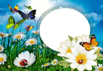 Photo Effect fra kategori Sommer № 40377