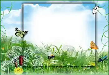 Photo Effect fra kategori Sommer № 50891