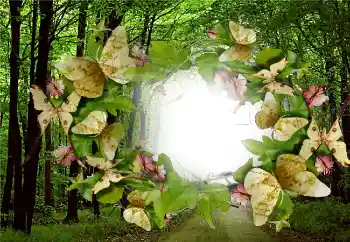 Photo Effect fra kategori Sommer № 5287
