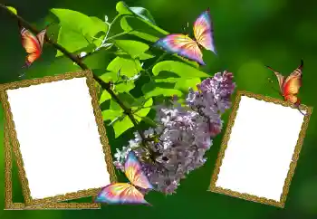 Photo Effect fra kategori Sommer № 81627 Photo Effect fra kategori Sommer № 81627