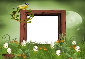 Photo Effect fra kategori Sommer № 9650