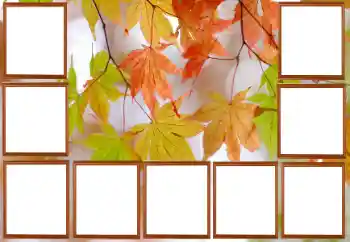 Photo Effect fra kategori Efterår № 195267